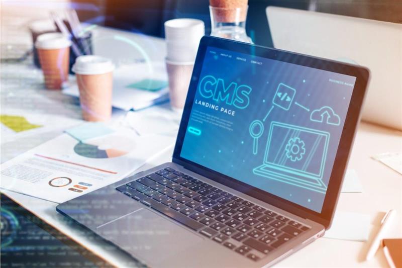 wordpress development